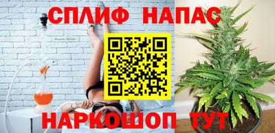 СК Пыть-Ях